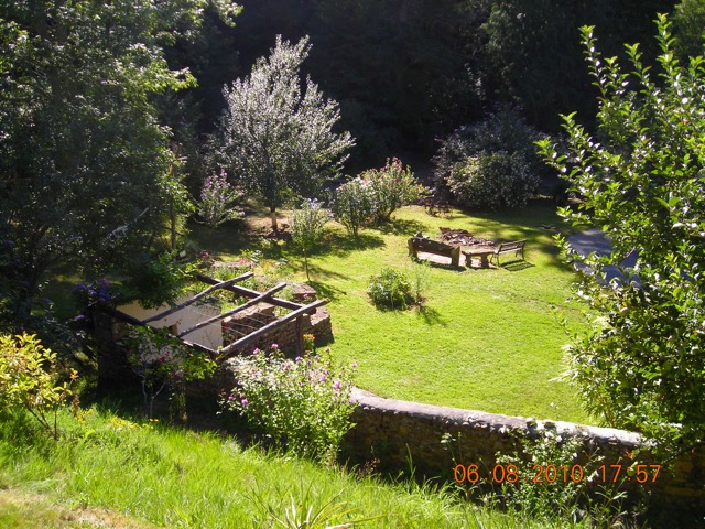 Blick in den Garten